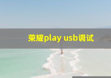 荣耀play usb调试